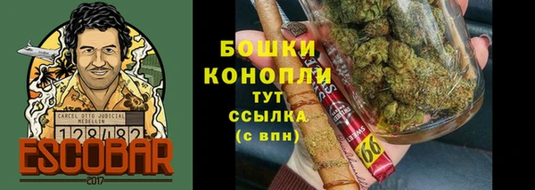 эйфоретик Касимов