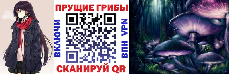 Галлюциногенные грибы ЛСД  Купить где  Инта 