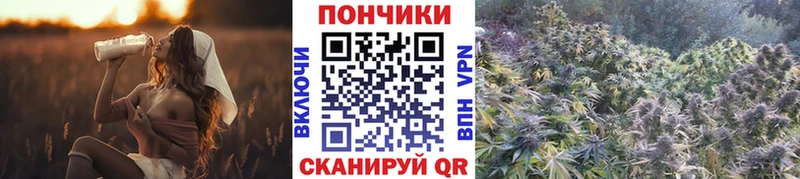 Купить  Инта  МАРИХУАНА SATIVA & INDICA 